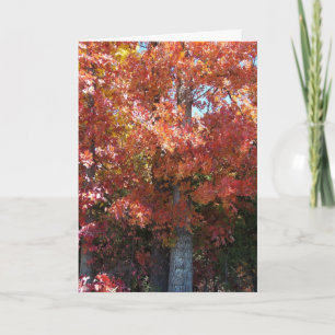 Autumn Crisp Card