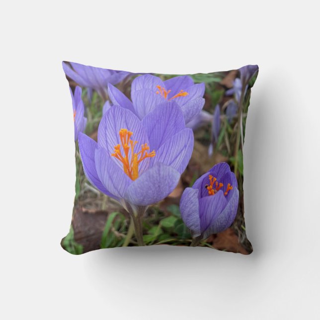 Autumn Crocus Cushion (Front)
