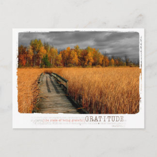 autumn day gratitude photography postcard