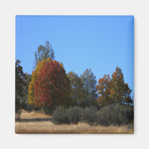 Autumn day in the country..... magnet