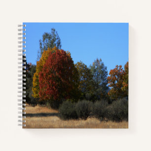 Autumn day in the country...... notebook