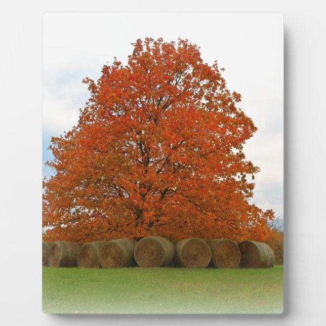 Autumn Day Plaque (Front)