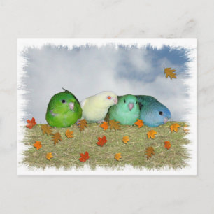 Autumn day postcard