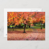 Autumn Day Postcard (Front/Back)