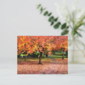 Autumn Day Postcard (Standing Front)