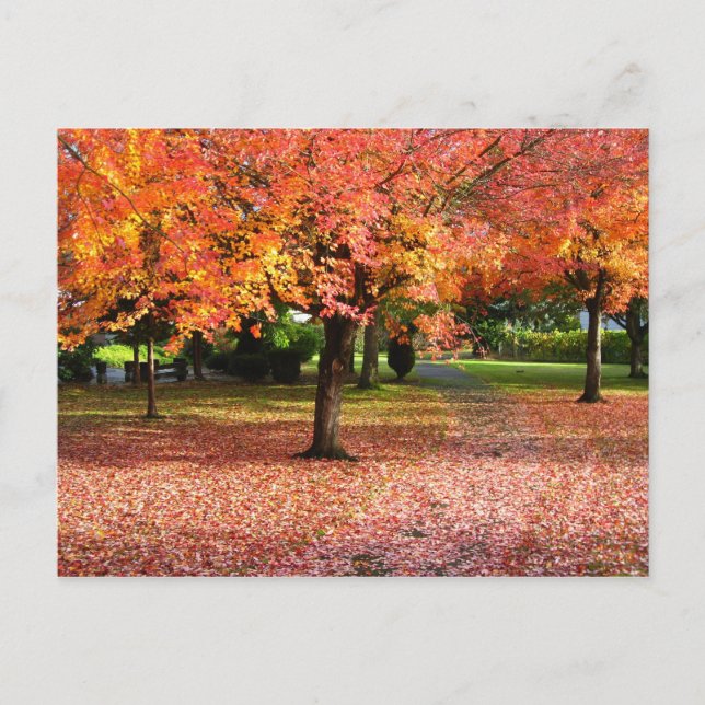 Autumn Day Postcard (Front)