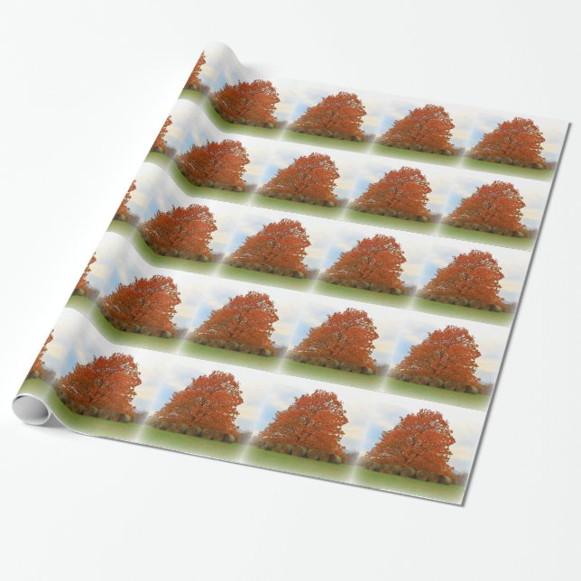 Autumn Day Wrapping Paper (Unrolled)