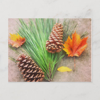 Autumn Days Postcard