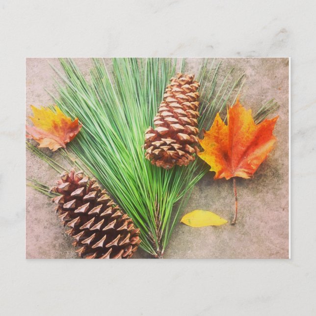 Autumn Days Postcard (Front)