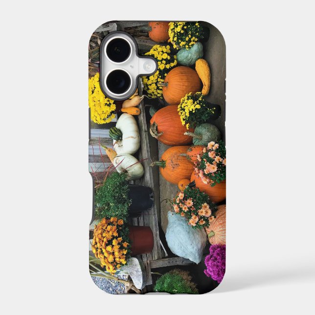 Autumn Decor (Back)