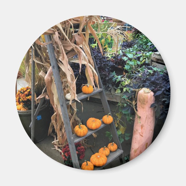 Autumn Decor Magnet (Front)