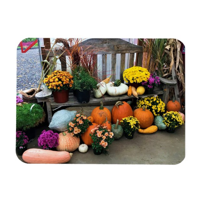 Autumn Decor  Magnet (Horizontal)