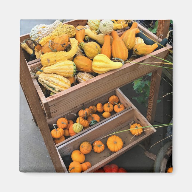 Autumn Decor Magnet (Front)