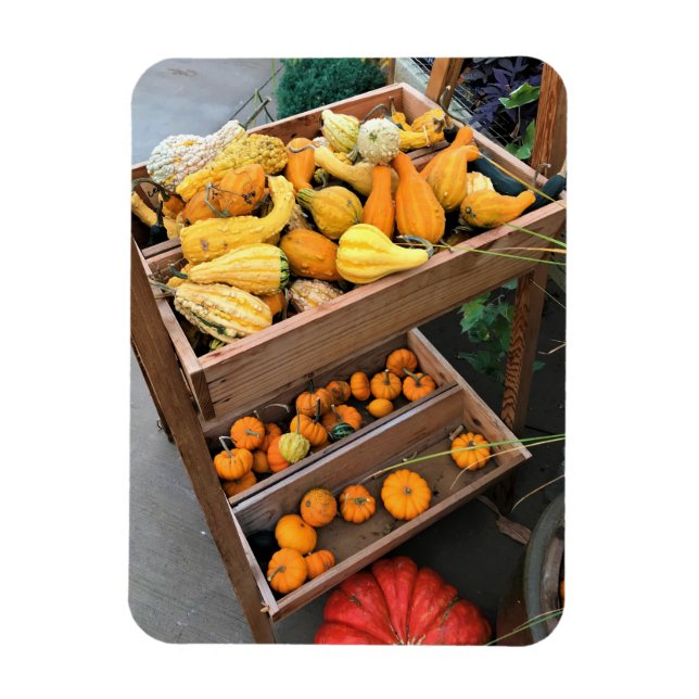 Autumn Decor Magnet (Vertical)