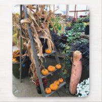 Autumn Decor