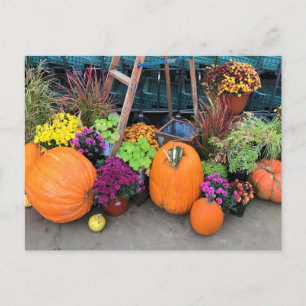 Autumn Decor Postcard