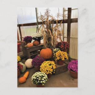 Autumn Decor Postcard