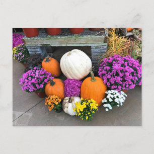 Autumn Decor Postcard