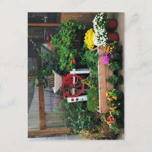 Autumn Decor Postcard