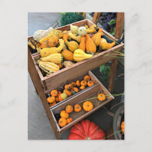 Autumn Decor Postcard