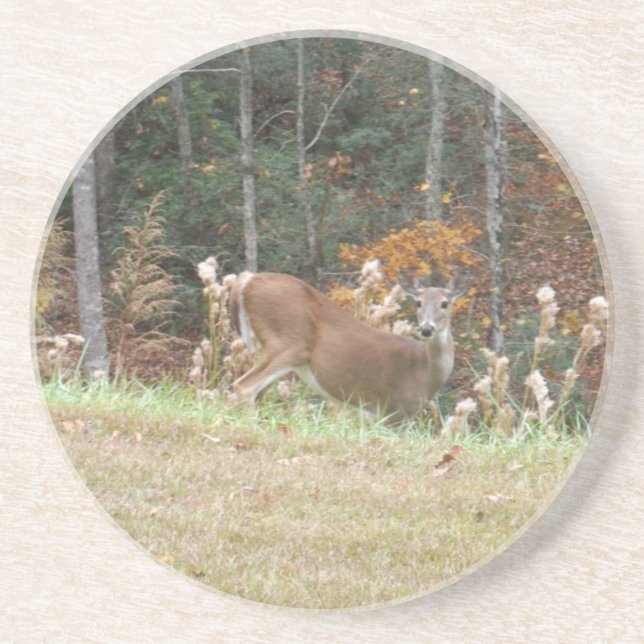 Autumn Deer in Lake Arrowhead GA Coaster (Front)