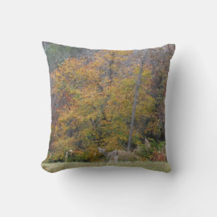 Autumn Deer in Lake Arrowhead GA Cushion