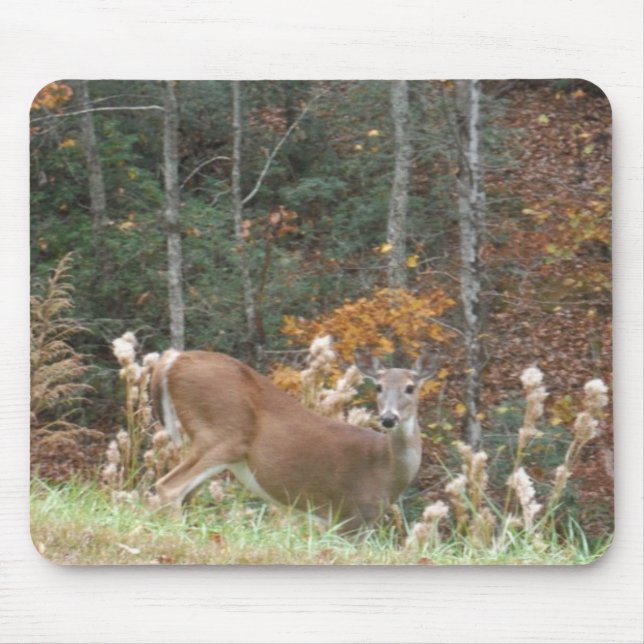 Autumn Deer in Lake Arrowhead GA Mouse Pad (Front)