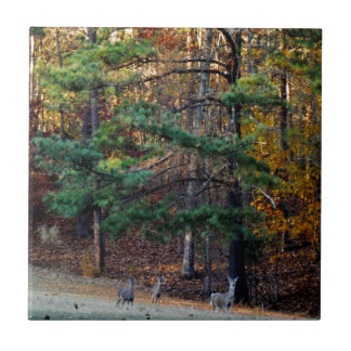Autumn Deer in the distance Ceramic Tile