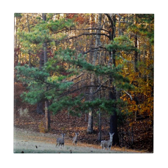 Autumn Deer in the distance Ceramic Tile (Front)