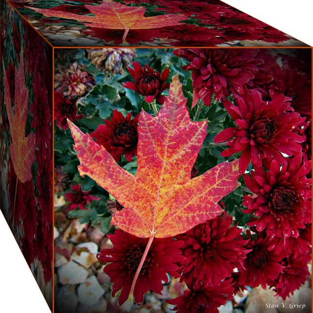 Autumn Delight Photo Art Print by Stan (Creator Uploaded)