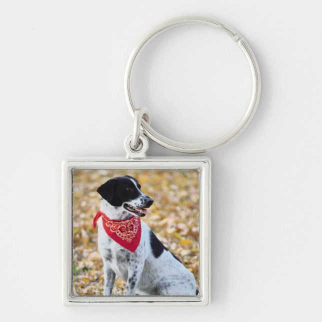 Autumn Dog Key Ring (Front)