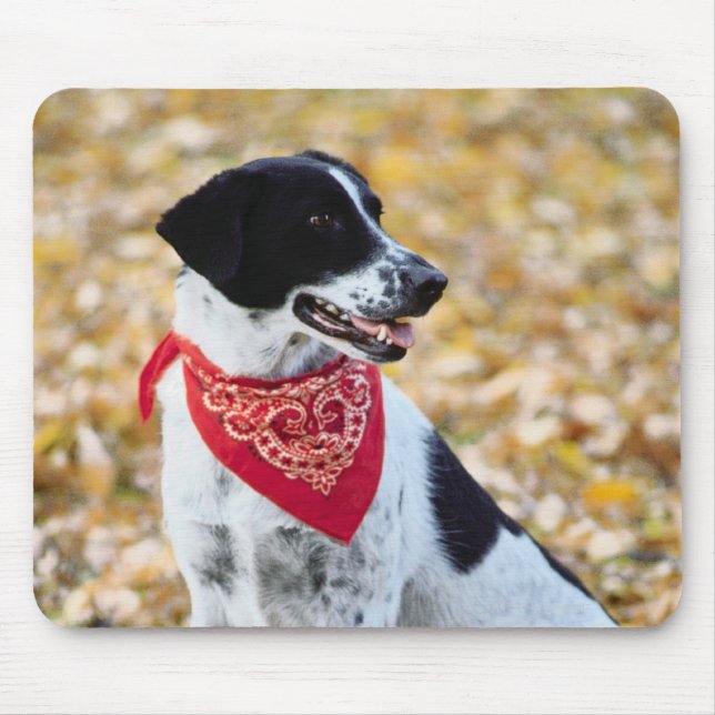 Autumn Dog Mouse Pad (Front)