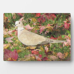Autumn Dove Plaque
