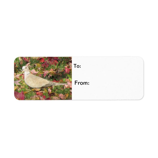 Autumn Dove Return Address Label (Front)