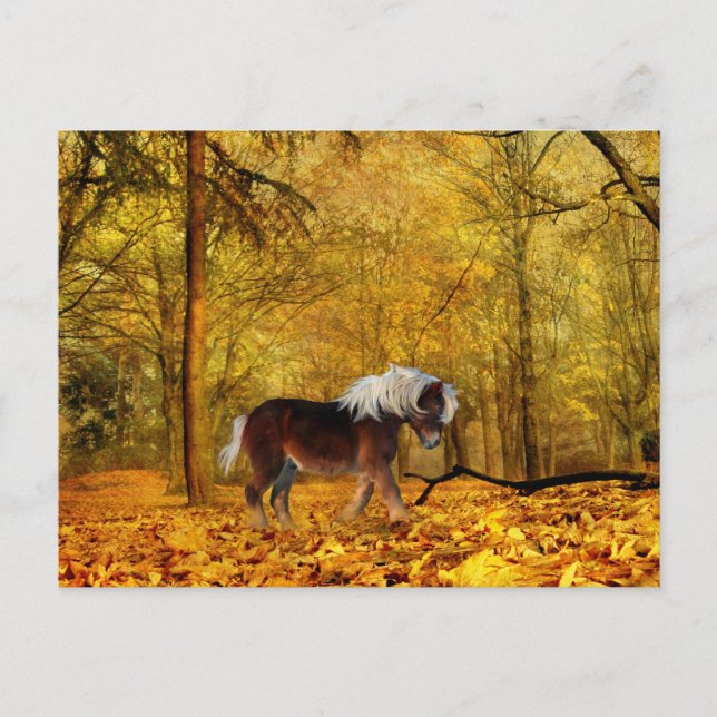 Autumn draught horse postcard (Front)