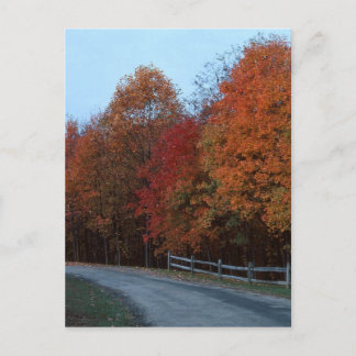 Autumn Drive--2 Postcard