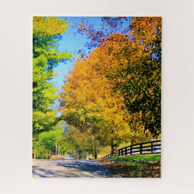 Autumn Drive in the Country Jigsaw Puzzle (Vertical)