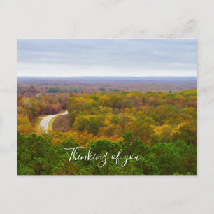 Autumn Drive Pano Thinking Of You Postcard