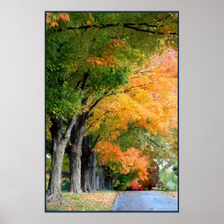 Autumn Drive Poster