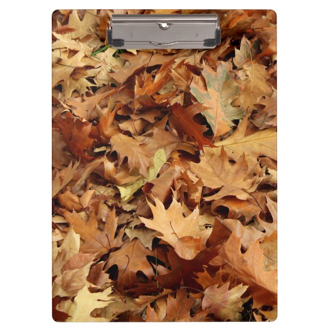 autumn, dry leaves clipboard (Front)