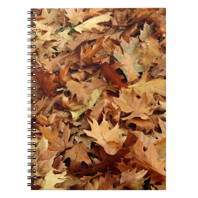 autumn, dry leaves notebook (Front)