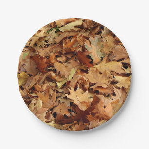 autumn, dry leaves paper plate