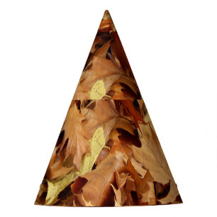 autumn, dry leaves party hat