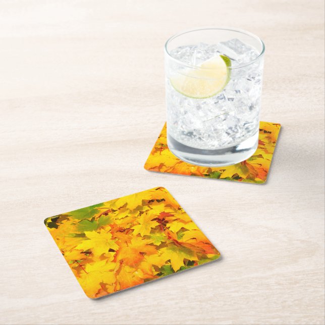 Autumn Escapes Paper Coasters (set:6) (Insitu)