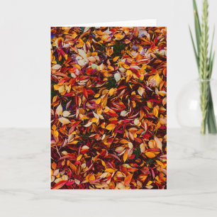 Autumn Fall Color Foliage Leaves  Card