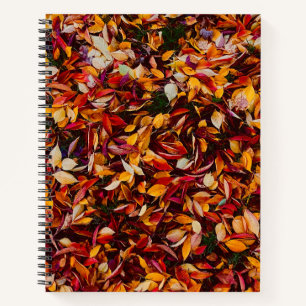 Autumn Fall Color Foliage Leaves Photo Notebook