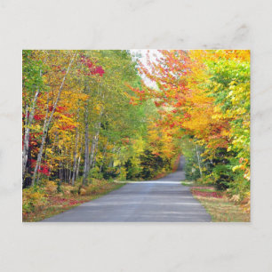 Autumn Fall Colours Road Quebec Canada Postcard