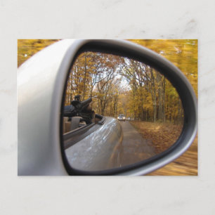 AUTUMN / FALL IN THE REAR VIEW MIRROR SPORTS CAR POSTCARD