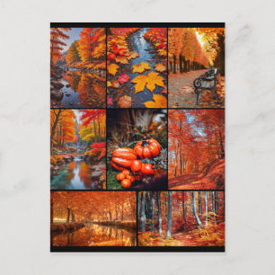 Autumn Fall Landscape Photo  Art Postcard
