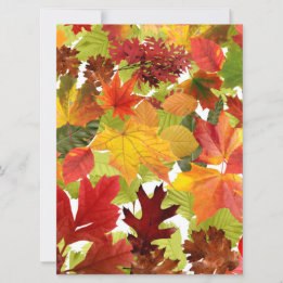 Autumn Fall Leaves
